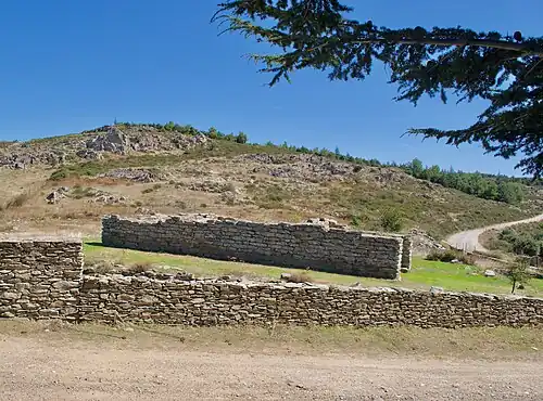 Vista laterale