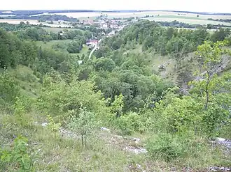 Le cirque de la coquille.
