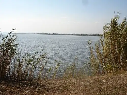 Vue du rivage côté Pérols.