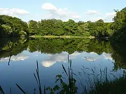 Etang de Villebon, route de la Patte d'Oie Forêt de Meudon.