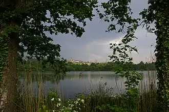 Image illustrative de l’article Chartreuse du Parc-en-Charnie