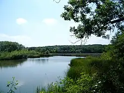 Etang du Parc