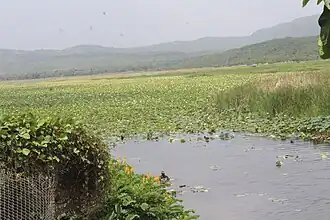 Image illustrative de l’article Lac de Miragoâne