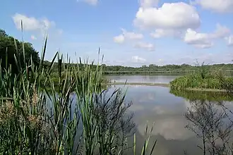 L'étang de Virelles