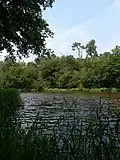 L'étang de l'Etunel.