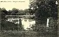 L'étang de la Pouparderie (autre nom donné à l'époque à l'étang de Sérigné) au début du XXe&nbsp;siècle (carte postale).