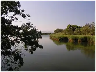 Photographie des étangs de Villepey.
