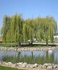 Etang de promenade, à l'ouest du village.