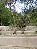 La nature reprend ses droits