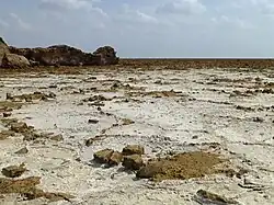 Le désert de sel.
