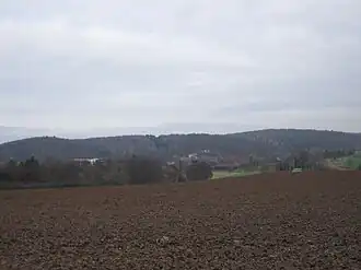 Etzenborn
