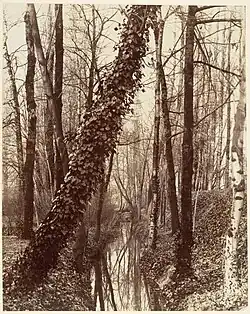 L'emplacement de la rue actuelle constituait un bras vif de la Bièvre à la fin du XIXe&nbsp;siècle (photo d'Eugène Atget vers 1898).