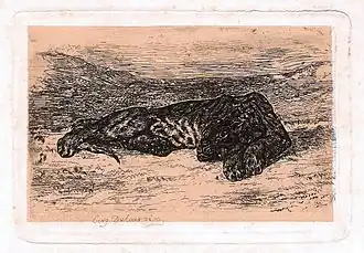 Gravure originale (Panthère).