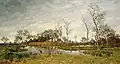 Paysage de marais