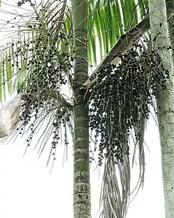 id.