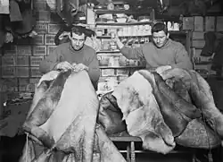 Edgar Evans et Thomas Crean réparant des sacs de couchage, 16 mai 1911.