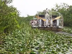 Hydroglisseur naviguant dans les Everglades.