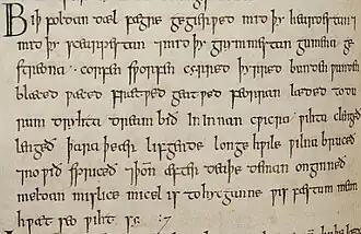 Portion du Livre d’Exeter (xe siècle) avec la forme du g insulaire pour la lettre g.