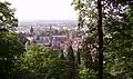 L'arboretum : Exotenwald Weinheim.