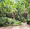 Jardins exotiques de Bouknadel
