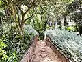 Jardins exotiques de Bouknadel