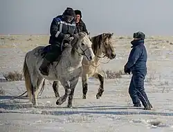 Deux cavaliers en fourrure côte à côte sur deux chevaux blancs au trot