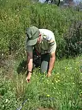 Ingénieur des Travaux des Eaux et Forêts (lieutenant) de l'Office national des forêts en vestiaire C (chemise et pantalon verts) en inventaire floristique en 2007.