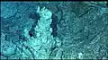 Une flèche de carbonate blanc dans le champ hydrothermal de la Cité Perdue.