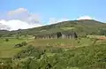 Exploitation de douglas (Pseudotsuga menziesii).
