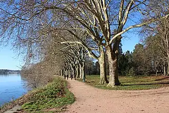 Parc des Bourins.