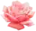 icône décorative