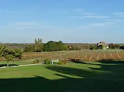 Vignoble de Eyrans, au nord.