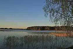 Vue du fjärd avec au fond une forêt et au premier plan des zones humides