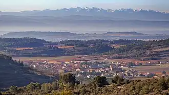 Félines-Minervois