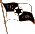 Version alternative du logo