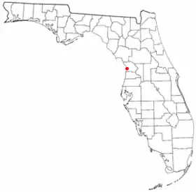 Localisation de Homosassa