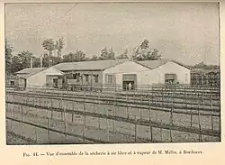 Sécherie de morues, à air libre et à vapeur, de M. Mellis, Bordeaux, 1902.