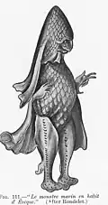 Illustration de David Starr Jordan, A guide to the study of fishes, 1905 et Fishes, 1907