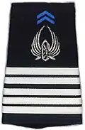 Fourreau d'épaule de Colonel du 1°RTP.