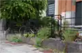 Barrière bordant le jardinet