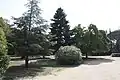 Jardins du domaine.