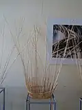 Montage à jour avec une tresse en super