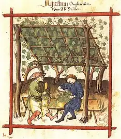 Vigne conduite en ramadaTacuinum Sanitatis (1474), Paris, Bibliothèque nationale, Ms. lat. 9333.