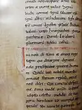 Extrait du cartulaire décrivant des villae données à l'abbaye par le vicecomes Diles (Ego Diles haec omnia do et concedo Sancto Uuingualoeo in dicumbitione...).
