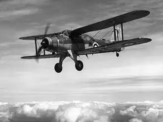 Vue de l'avion.