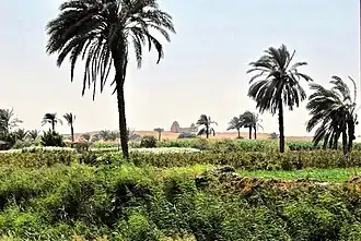 Oasis du Fayoum