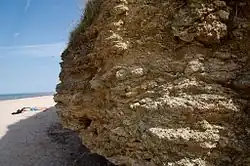 Vue de la falaise