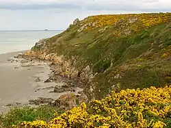 Falaise et ajoncs