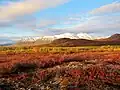 Couleurs d'automne