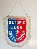 Fanion du club
